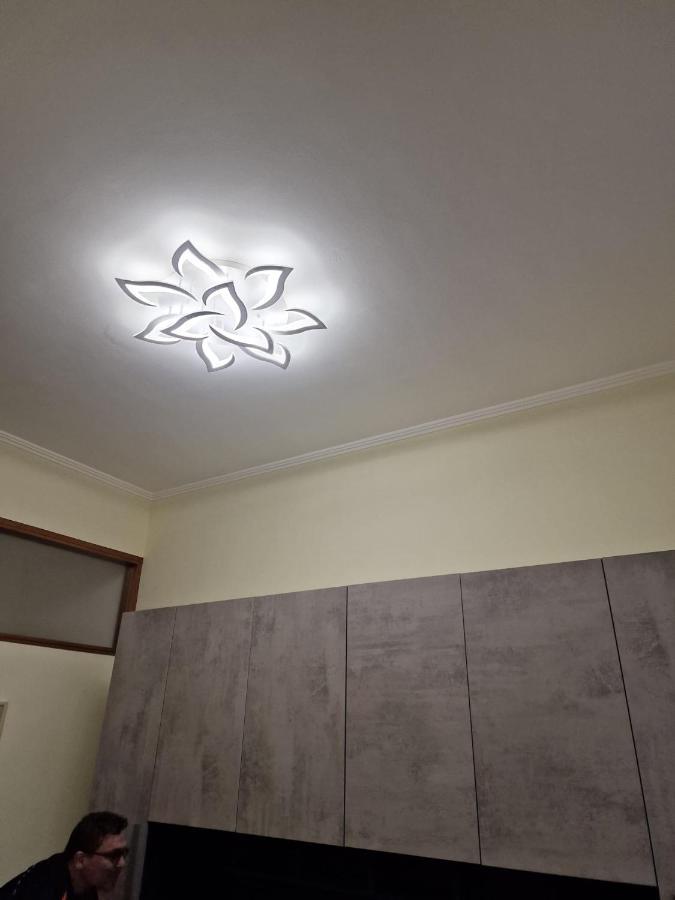 In Pieno Centro Storico Antico Quadrilatero Apartment Bologna Bagian luar foto